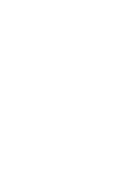Paint natura logo