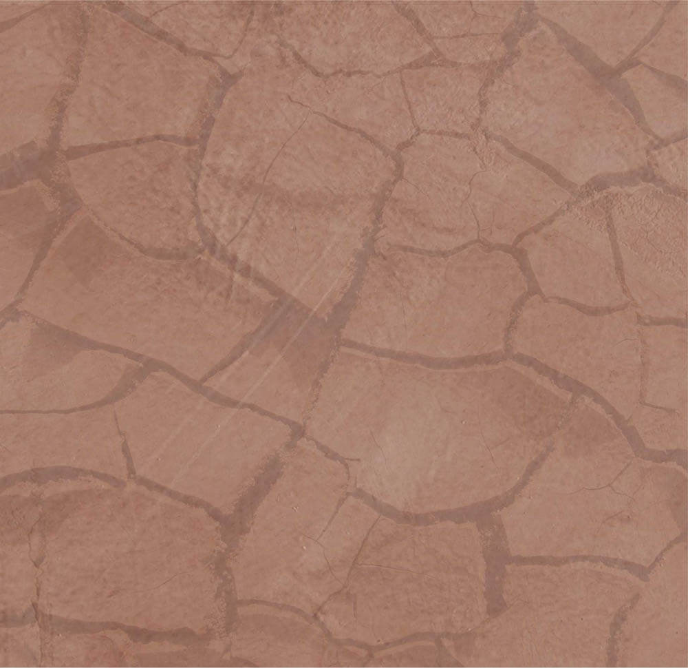clay pic