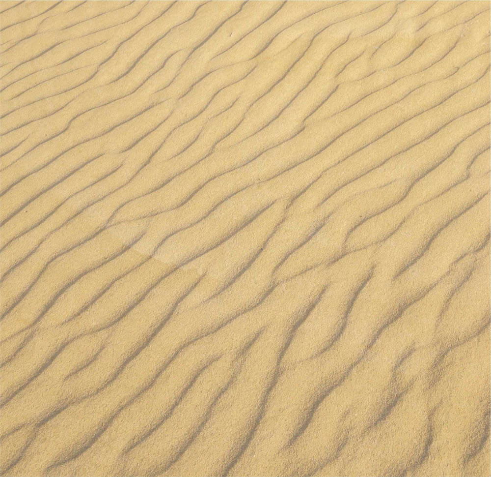 dune pic