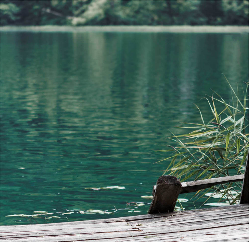 lago pic