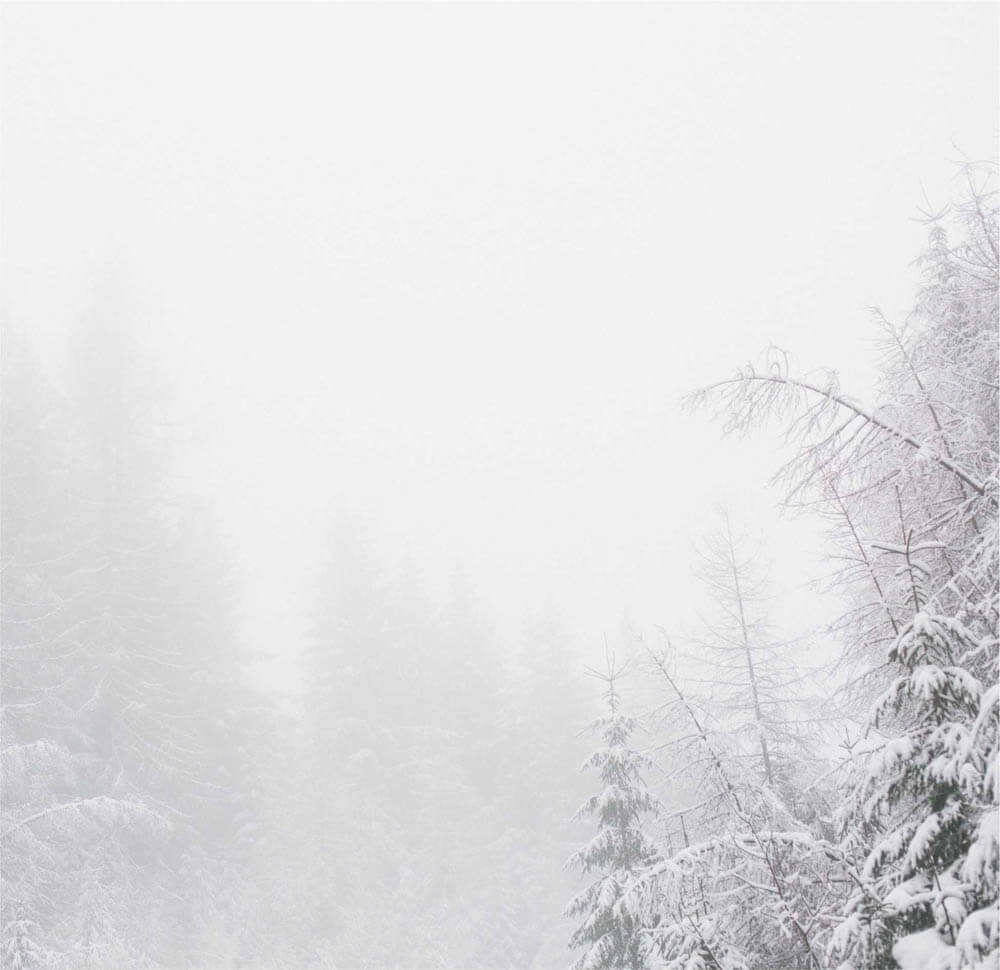 snow pic